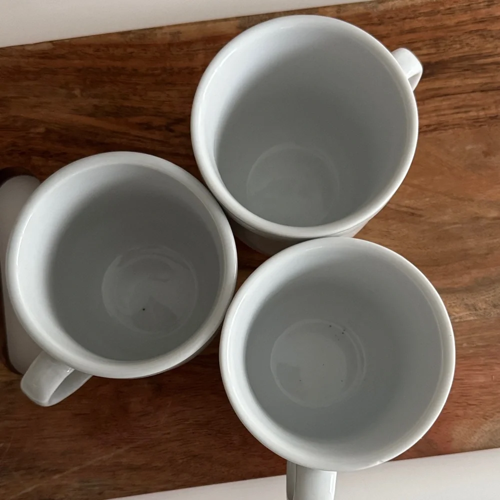 Pottery Barn Vintage White Ceramic Farmhouse Mug Set (3)